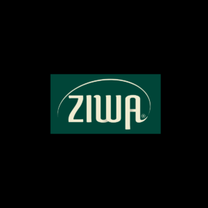 ZPLUS Limousine (15)